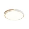 Bedroom Living Room Round Acrylic LED Flush Mount Ceiling Light Fixture